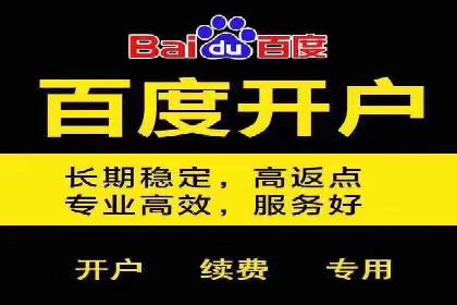 探索百度竞价代运营公司的成功之路